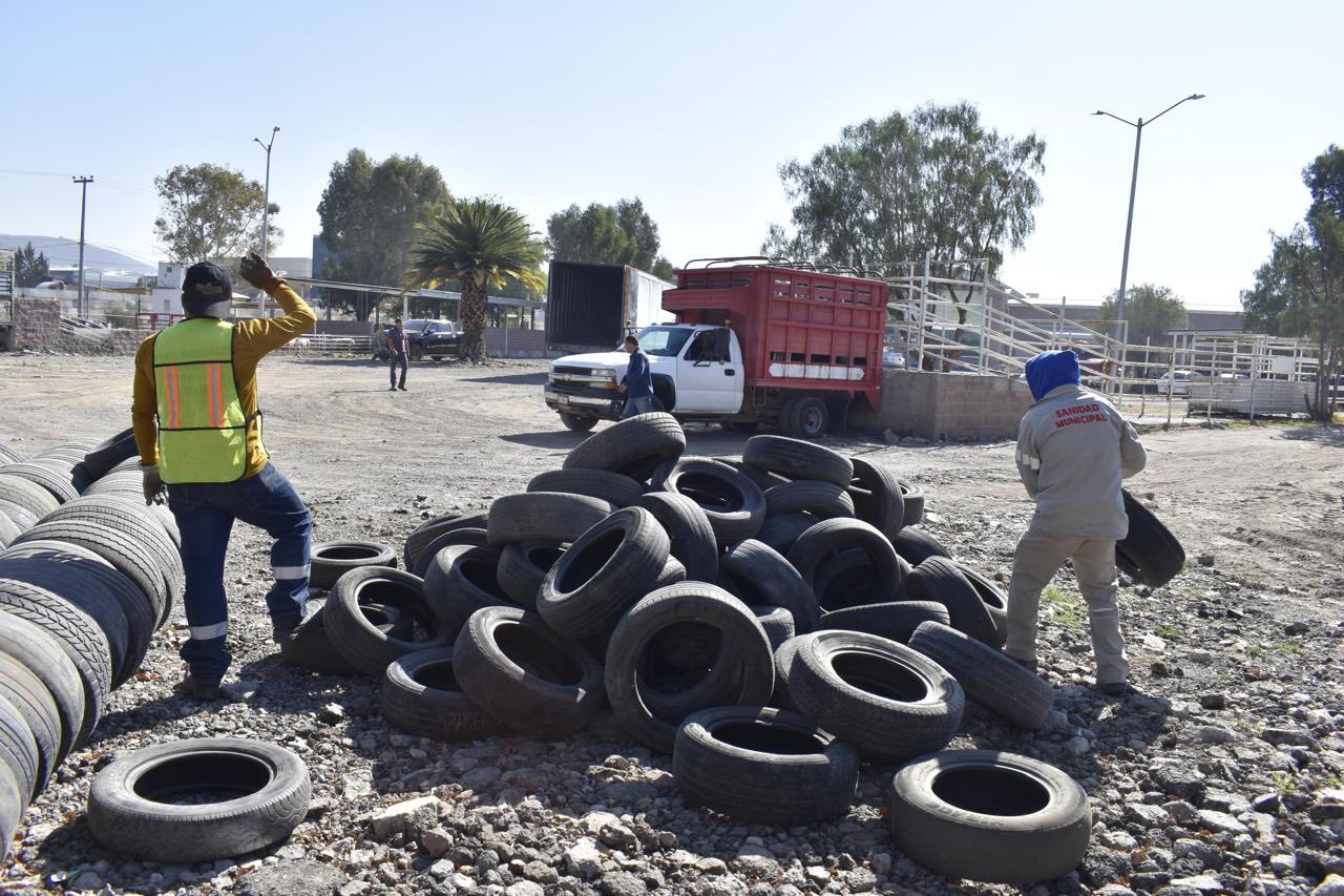 Participación ciudadana fortalece acciones ambientales en Pachuca mediante el Llantatón